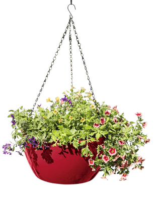 Viva Self-Watering Hanging Basket, 14" Diameter