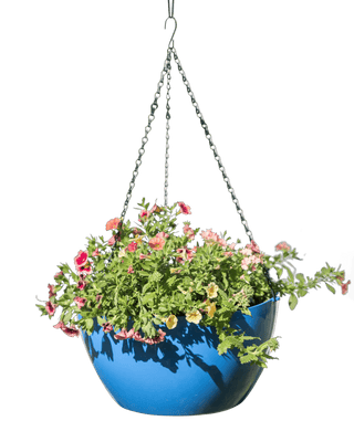 Viva Self-Watering Hanging Basket, 14" Diameter