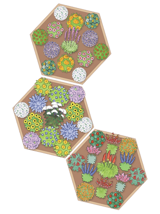 Pollinator Cedar Garden Bed