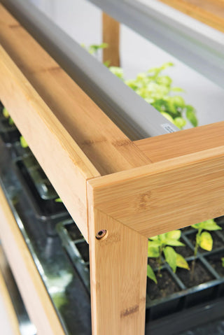 Bamboo LED Grow Light Garden for Succulents and Seeds