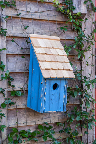 Heartwood Bluebird Bunkhouse Bird House
