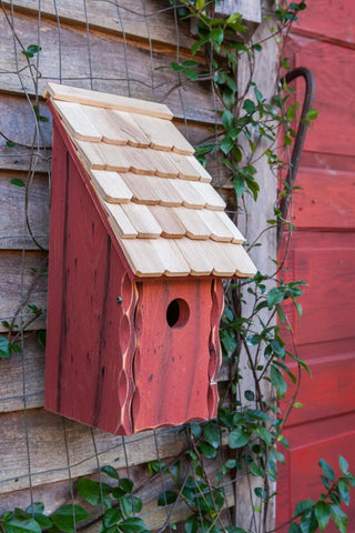 Heartwood Bluebird Bunkhouse Bird House