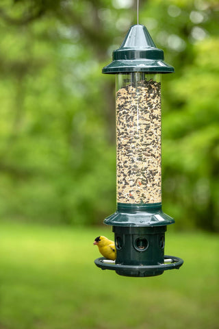Brome® Squirrel Buster Plus™ Bird Feeder