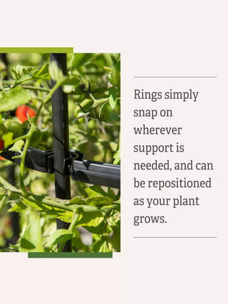 Titan Tall Tomato Cages, Set of 3