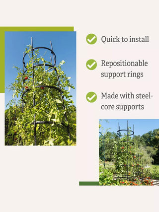 Titan Tall Tomato Cages, Set of 3