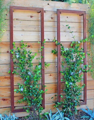 Ina Modern Wall Trellis Sr.