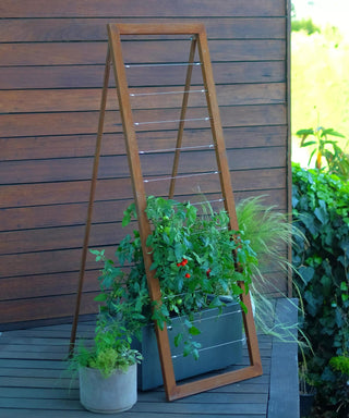 Mira Modern Garden Trellis Sr.