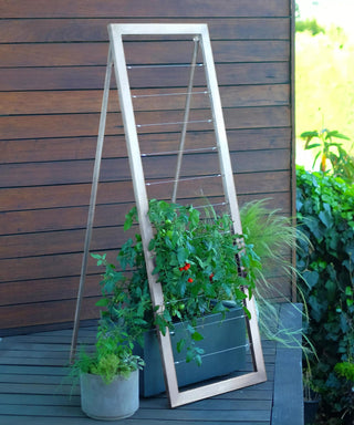 Mira Modern Garden Trellis Sr.