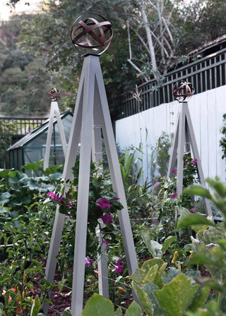 Akoris Garden Tuteur Jr.