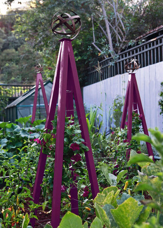 Akoris Garden Tuteur Jr.