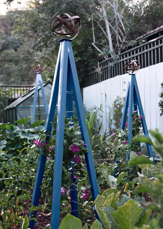 Akoris Garden Tuteur Jr.