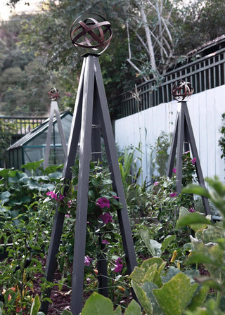 Akoris Garden Tuteur Jr.