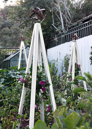 Akoris Garden Tuteur Jr.