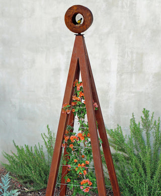 Bird Cafe + Akoris Garden Tuteur Jr.