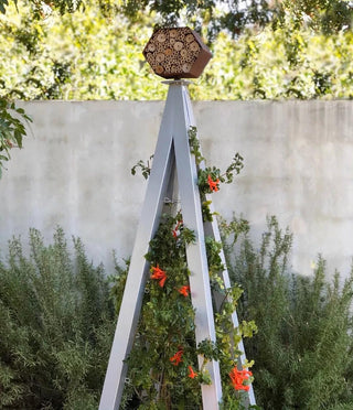 Bee Bungalow + Akoris Garden Tuteur Jr.