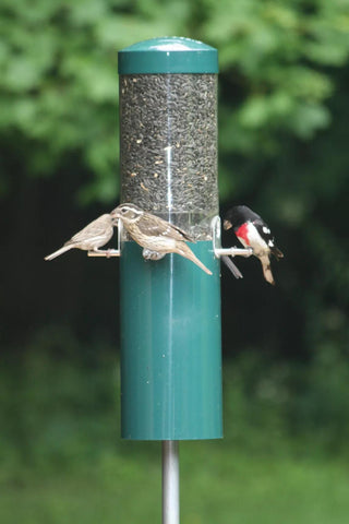 Birds Choice™ Feeder with Squirrel Baffle & Pole