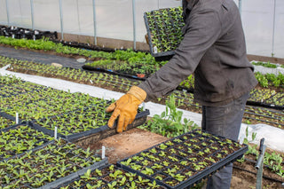 The Vermonter by Vermont Glove