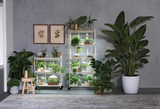 Oslo 2-Tier LED Grow Light Garden, 2 Fixtures