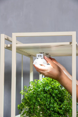 Oslo 2-Tier LED Grow Light Garden, 2 Fixtures