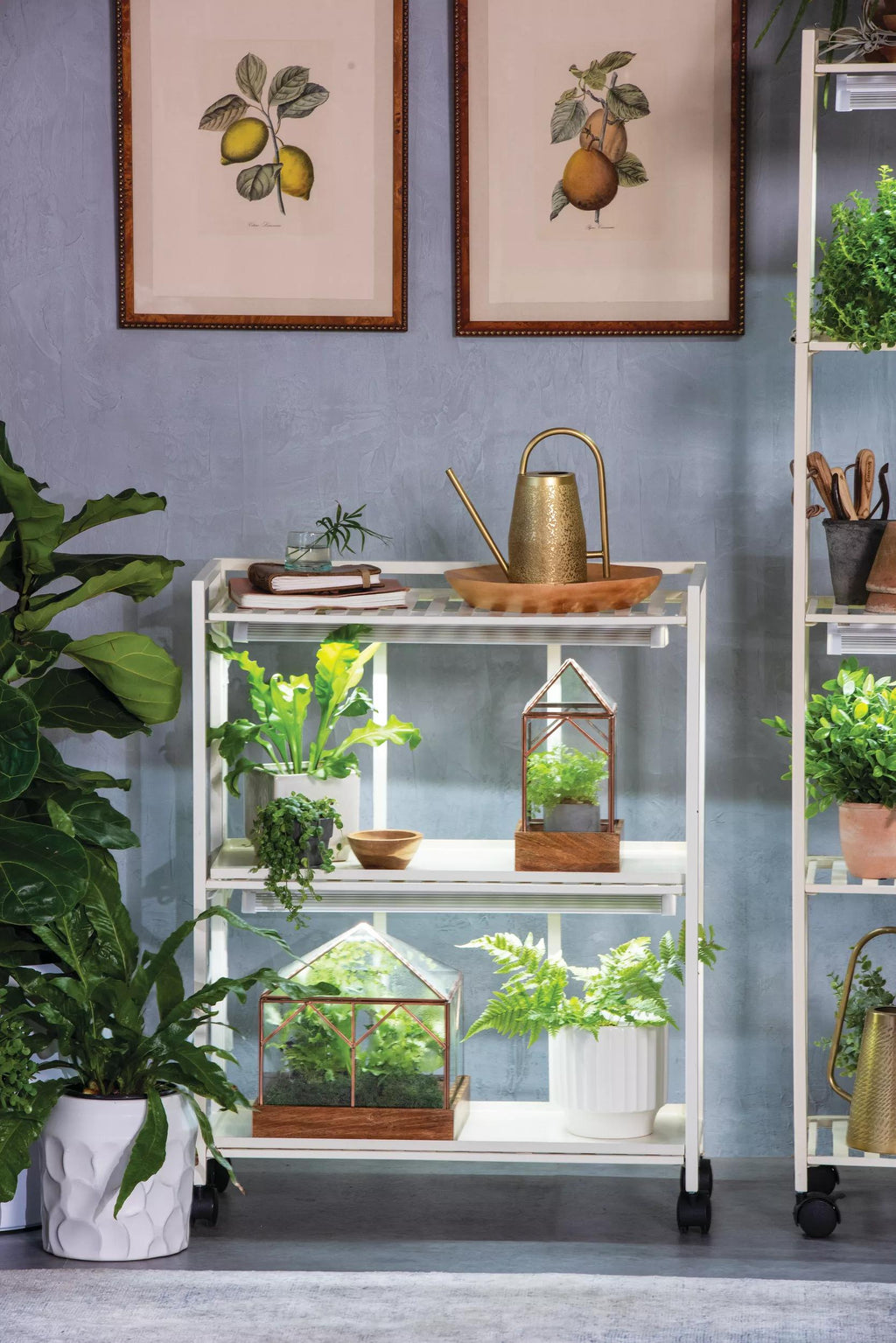 plant shelf indoor with grow light Oslo Customizable 2-Tier LED Grow Light Shelves| Gardeners.com