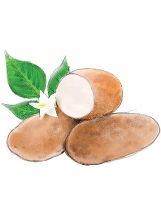 Caribou Russet Organic Seed Potatoes, 1 lb