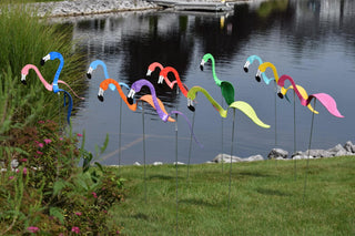 Florida Dancing Birds®, Flamingos