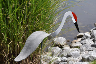 Florida Dancing Birds®, Sand Hill Crane