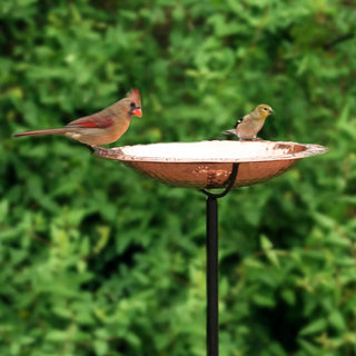 Copper Birdbath, 13" with Stake