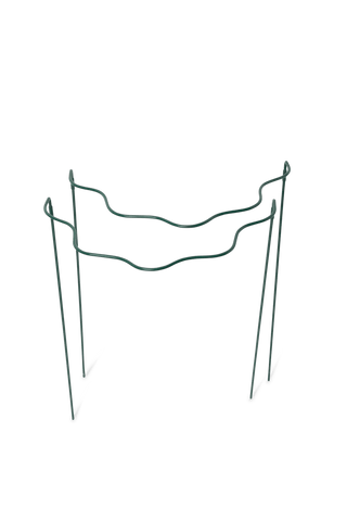 Scalloped Plant Supports, Set of 2
