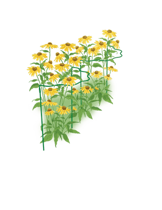 Scalloped Plant Supports, Set of 2