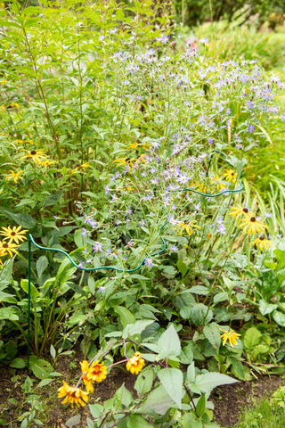 Scalloped Plant Supports, Set of 2