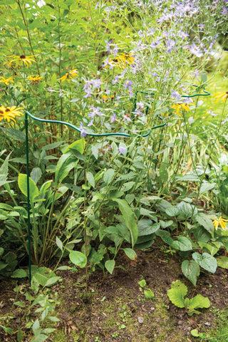 Scalloped Plant Supports, Set of 2