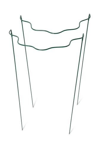 Scalloped Plant Supports, Set of 2