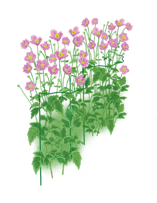 Scalloped Plant Supports, Set of 2