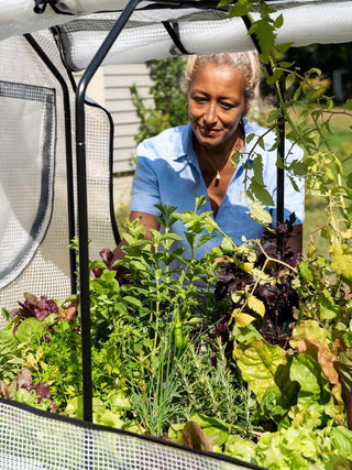 VegTrug®Patio Garden Greenhouse Cover Kit