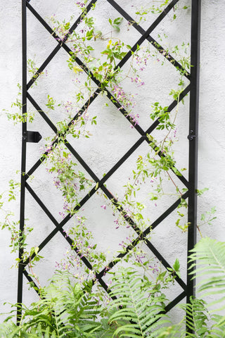 Lattice Gable Wall Trellis