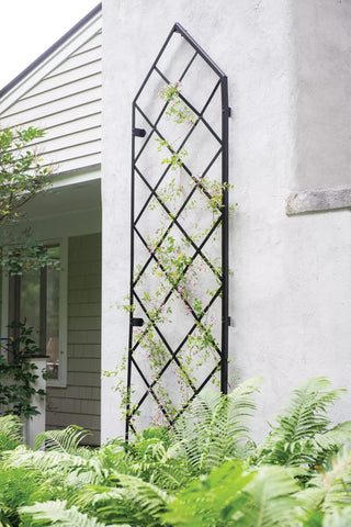 Lattice Gable Wall Trellis