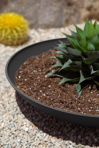 Veradek Pure Series Lane Bowl Planters