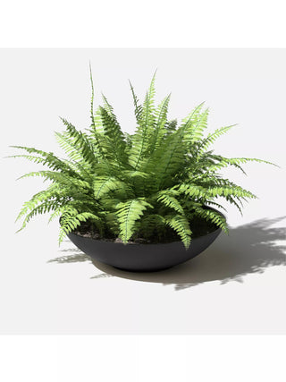 Veradek Pure Series Lane Bowl Planters