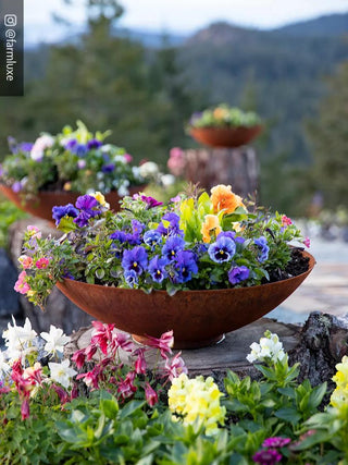 Veradek Corten Steel Round Bowl Planters