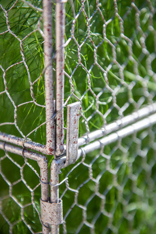 Chicken Wire Crop Coop Extension