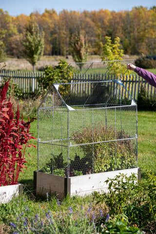 Chicken Wire Crop Coop Extension