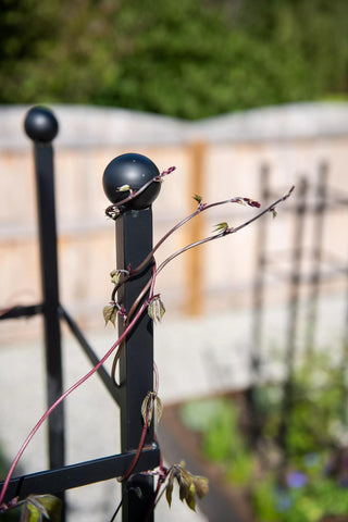 Essex Square Obelisk