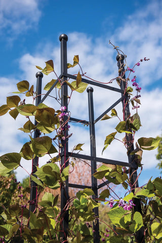 Essex Square Obelisk