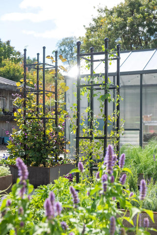 Essex Square Obelisk