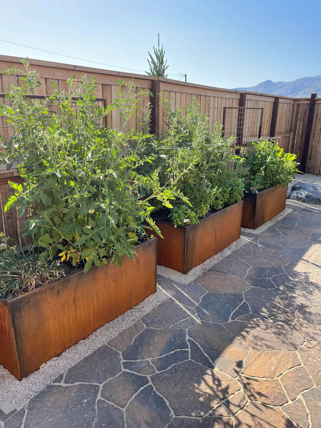 metal planter pots Nice Corten Trough Planters with Trellis