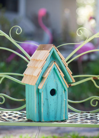 Heartwood Bluebird Brights Bird House