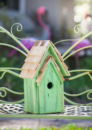 Heartwood Bluebird Brights Bird House