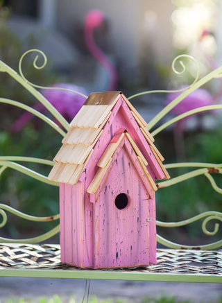 Heartwood Bluebird Brights Bird House