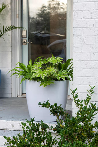 Viva Round Self-Watering Rolling Planter, 20" Diameter, Set of 2